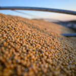 U.S. Moves to Deploy Additional Coast Guard Assets to Seize Fleeing Sanctioned Oil Tanker