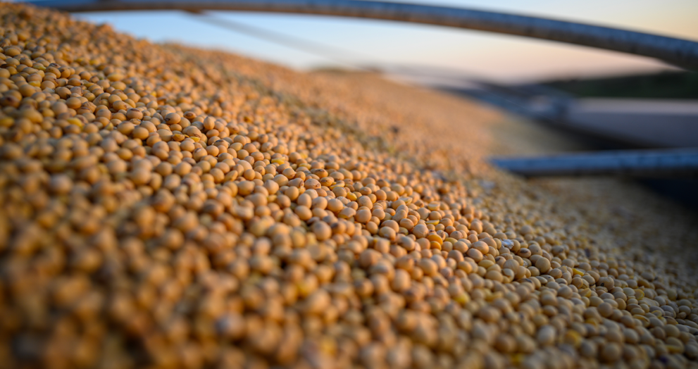Bulk cargo ship loaded with soybeans at Brazilian port, heading to China, illustrating South America–Asia supply chain shift.
