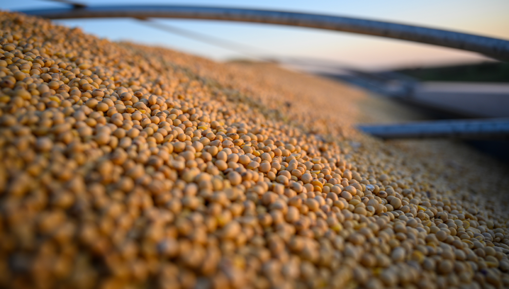 Bulk cargo ship loaded with soybeans at Brazilian port, heading to China, illustrating South America–Asia supply chain shift.