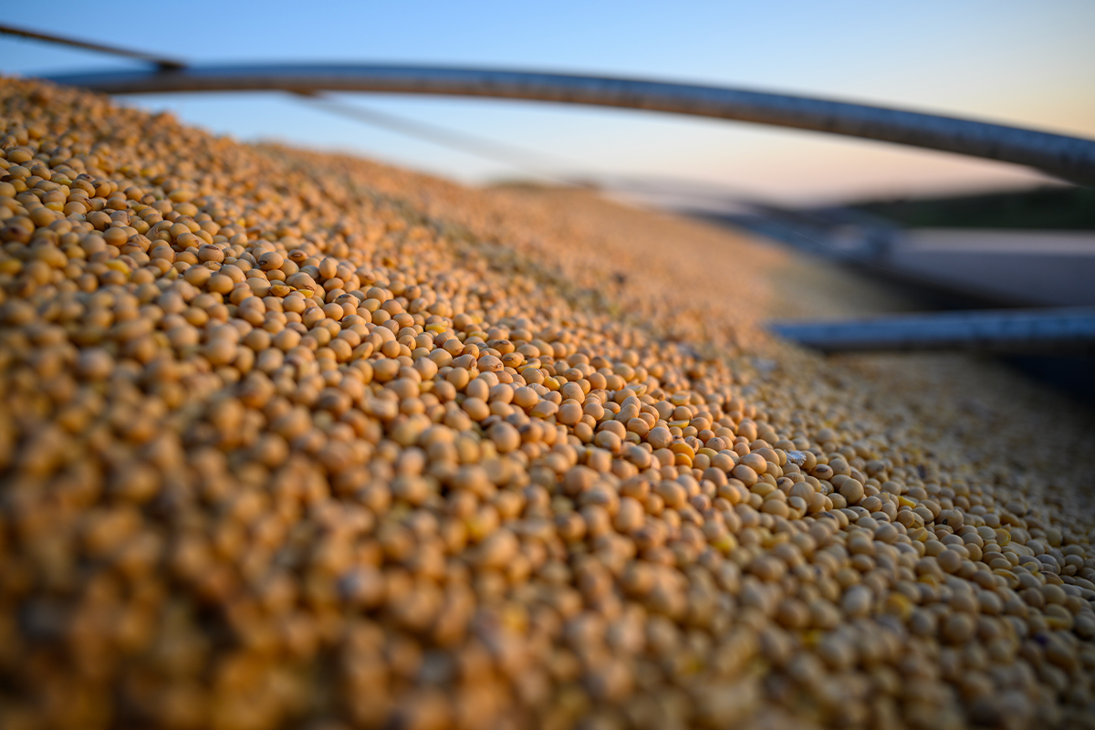 Bulk cargo ship loaded with soybeans at Brazilian port, heading to China, illustrating South America–Asia supply chain shift.